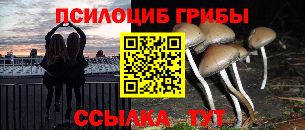 Псилоцибиновые грибы MAGIC MUSHROOMS Вятские Поляны