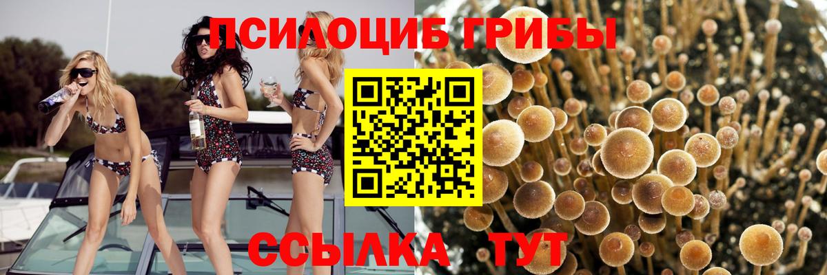 Галлюциногенные грибы Cubensis  Вход с VPN  где можно купить наркотик  Псилоцибиновые грибы Cubensis  Вятские Поляны 
